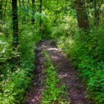 Hiking Trail