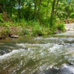 Creekside