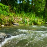 Creekside