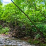 Pleasant Creek